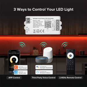 DC12V 24V CCT Led Tuya WIFI LED Control remoto Soporte Alexa Asistencia de Google - Product Image 2