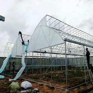 Serre en dents <span class=keywords><strong>de</strong></span> scie pour tomates et poivrons - Product Image 4