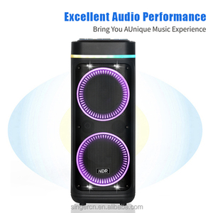 Altavoz Inalámbrico Bluetooth para Exteriores NDR-2807, Doble Woofer de 8 Pulgadas, Alta Potencia, Ideal para Karaoke y Fiestas - Product Image 2