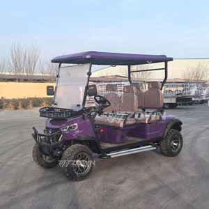 Carrito de Golf Eléctrico de 4 Plazas Directo de Fábrica, Motor de CA de 48V 4kW, Diseño de Lujo, Altavoz, Luz LED, para Comunidades - Product Image 1