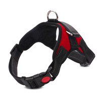 Ensemble Harnais et Laisse pour Chien, Conception Anti-Traction, Harnais pour Animaux de Compagnie en Tissu Oxford, Vente en Gros