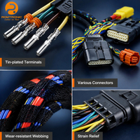Faisceau de câblage automobile multi-branche multi-connecteurs en cuivre pur, connecteurs étanches, ruban tissé anti-vibration et anti-abrasion