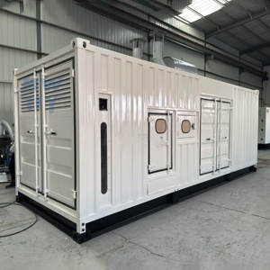 Generador de <span class=keywords><strong>Gas</strong></span> <span class=keywords><strong>Natural</strong></span> de Bajo Consumo de Combustible, de 80KW a 400KW, Tipo Silencioso, Personalizado para Viviendas, Tiendas y Fábricas - Product Image 5