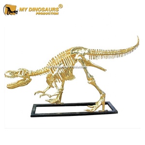Khủng Long Của Tôi AA645 Kích Thước Cuộc Sống Khủng Long Vàng Skeleton <span class=keywords><strong>Trex</strong></span> Cho Triển Lãm - Product Image 2