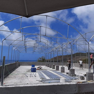 Kits de serre du fabricant Cadre en acier monocouche à faible coût avec film anti-goutte <span class=keywords><strong>pour</strong></span> la culture de fruits de petite à grande taille - Product Image 3