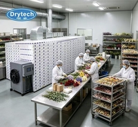 Machine de séchage à pompe à chaleur pour fleurs séchées, économie d'énergie, four à fleurs commercial