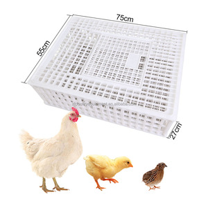 Meilleures ventes sur le marché américain, cage <span class=keywords><strong>de</strong></span> transport pour volailles en plastique durable - Product Image 1