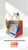 Tapis à gratter multifonctionnel incliné pour chat avec jouet à bille roulante, lit-caverne pliable pour chat, pour l'exercice et le repos des chats d'intérieur