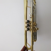 Yellow Brass Imported From Germany Bb Key Gold Lacquer Trumpet
