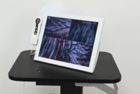 Analyseur de cuir chevelu et de follicules pileux professionnel 5G WiFi sans fil HD, scanner de détection cutanée pour salon de soins capillaires