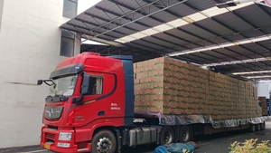 Supplément de poudre de protéine de lactosérum pré-entraînement personnalisé prend en charge la force musculaire et l'exercice de gymnastique Gain de poids extrait de lait - Product Image 3