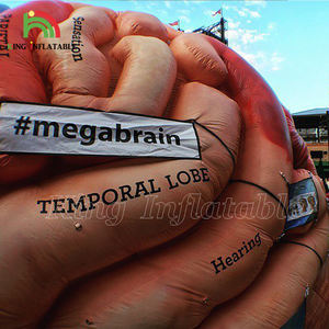 Objets gonflables médicaux exposition des organes humains modèles éducatifs - Product Image 4