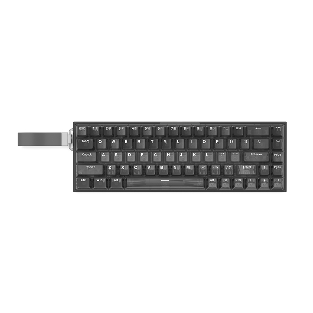 Customize 68 Keys Transparent Magnetic Switch Mechanical Keyboard for Gamer Gaming Keyboard for Laptop