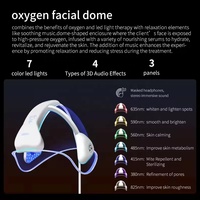 Appareil professionnel électrique 11 en 1 pour l'esthétique, le nettoyage de la peau, le soin oxygénant du visage, le traitement de l'acné, machine de spa en plastique