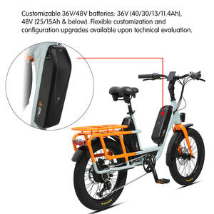 TXED Factory <span class=keywords><strong>Vélo</strong></span> <span class=keywords><strong>Cargo</strong></span> <span class=keywords><strong>Électrique</strong></span> 7 Vitesses, Moteur Arrière 48V/250W, Écran LCD, <span class=keywords><strong>Vélo</strong></span> <span class=keywords><strong>Électrique</strong></span> de Livraison pour Adulte - Product Image 3