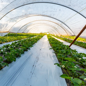 Grande <span class=keywords><strong>serre</strong></span> agricole PE Tarp Hall Film plastique <span class=keywords><strong>Tunnel</strong></span> <span class=keywords><strong>serre</strong></span> <span class=keywords><strong>de</strong></span> jardin simple double couche matériau <span class=keywords><strong>de</strong></span> couverture stable plante - Product Image 5