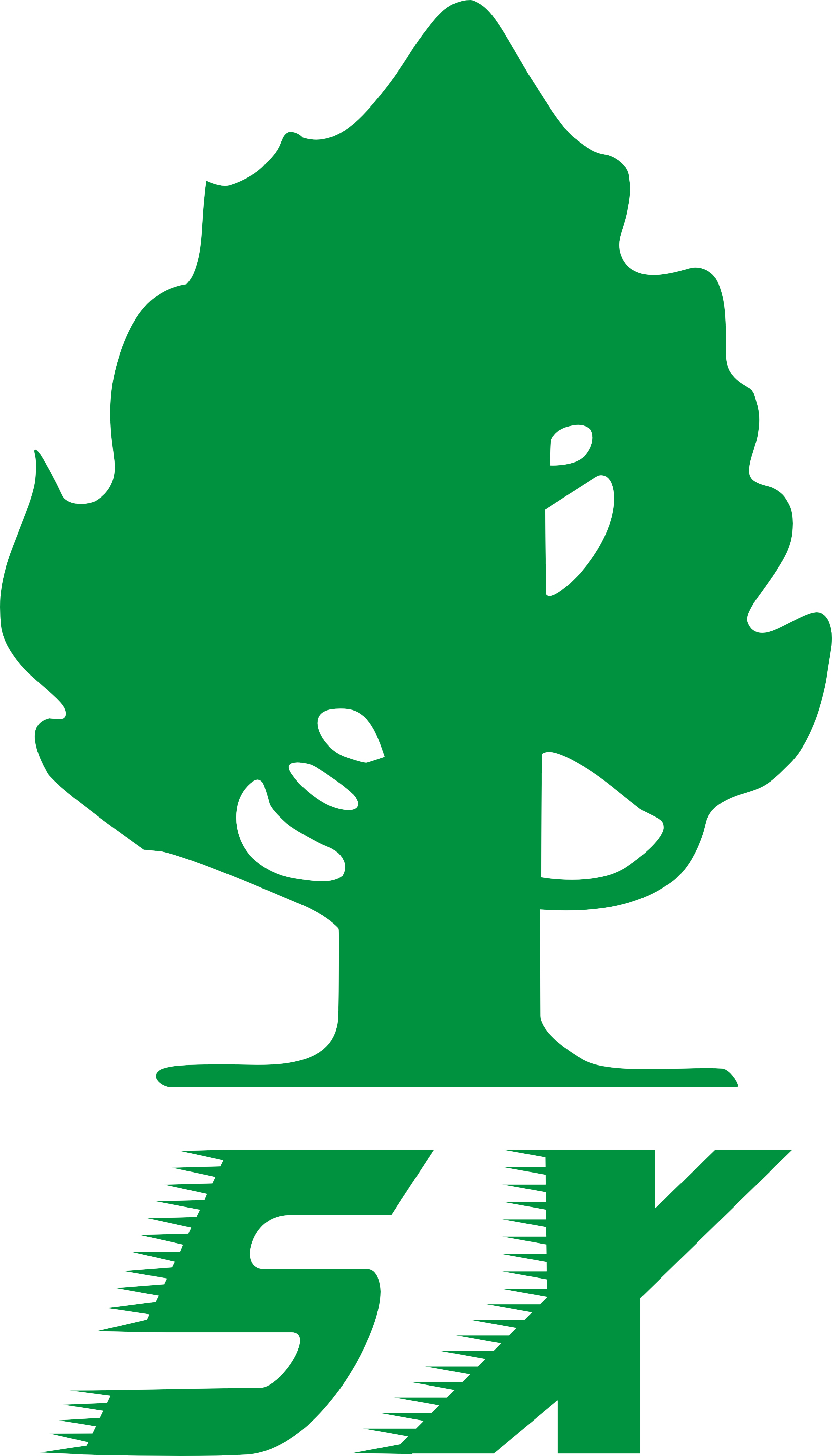Shenzhen Songxin Silicone Products Co., Ltd. logo