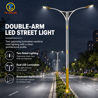 Poteau d'éclairage public décoratif sur mesure, design exquis, avec support à bras simple ou double