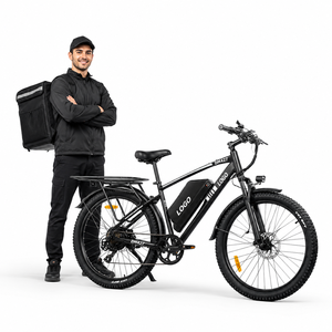 Vélo de montagne électrique DM427 26 pouces, moteur sans balais 750W, batterie lithium 48V, frein à disque hydraulique 7 vitesses, vélo électrique pour adultes - Product Image 1