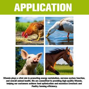 Suministro de fábrica Polvo de vitamina K/K3 de grado alimenticio para ganado y aves de corral Fórmula de crecimiento Fabricantes de polvo Suplemento alimenticio - Product Image 2