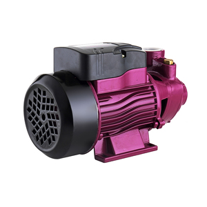 2023 <span class=keywords><strong>QB60</strong></span> 0.37kw 0.5hp pompe à eau propre vortex électrique spécifications - Product Image 3