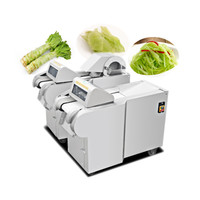 Volledig Roestvrijstalen Groentesnijmachine Aardappelgroente-En Fruitsnijmachine Groentesnij-En Snijmachine