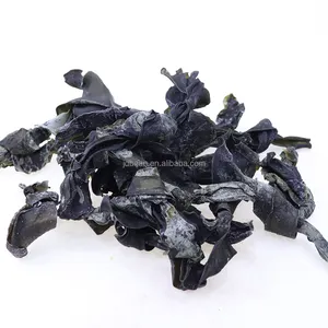 Good Quality Seafood Wakame Dried Salted Kelp Kombu Seasweed Kelp Knot