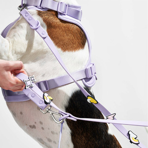 Yile High-Designer <span class=keywords><strong>Logo</strong></span> décoratif personnalisé PVC classique laisse de chien à la mode intégré sangle de corde confort rembourré rubans imprimés - Product Image 3