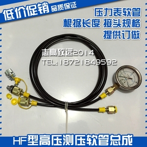 Connecteur de test haute pression miniature série Pt M10 M12 M14 G1 4 Accessoires pour outils hydrauliques - Product Image 5