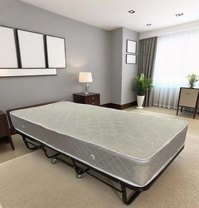 Furniture Source Factory Customized Modern Foldable <strong>Metal</strong> <strong>Bed</strong> with Soft Mattress for Hotels Guesthouses Home Living Room Use - Product Image 5