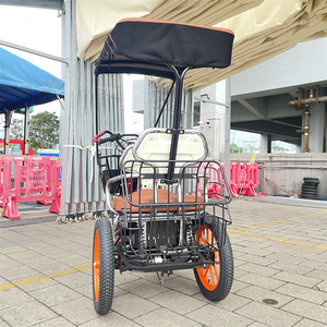 Tricycle électrique tout-terrain à pneus larges, fabriqué en Chine, avec assistance au pédalage, moto électrique - Product Image 5