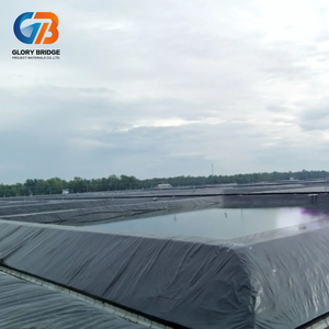 Lámina de Geomembrana de Polietileno Reforzado HDPE de 1 mm, 1,5 mm y 2 mm para Minería, Vertederos, Presas, Estanques de Peces y Aplicaciones Industriales - Product Image 4