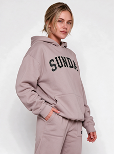 Felpa con cappuccio Offstage Cinnamon personalizzata da donna, streetwear in cotone felpato pesante, pullover oversize - Product Image 4