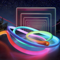 Bande LED RGB personnalisée de 1 m en PVC 24 V, tube néon flexible à 360 degrés, adressable, IP68, RGBIC, contrôleur CCT, interrupteur, pour aménagement paysager