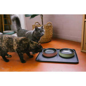 Plato doble para alimentar mascotas con base antideslizante para gatos y perros - Product Image 4