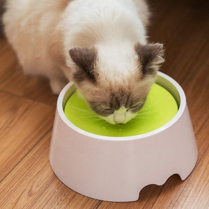 <span class=keywords><strong>AquaFlow</strong></span>-Station d'hydratation pour animaux de compagnie alimentée par gravité Distributeur d'eau sans alimentation 1L - Product Image 6