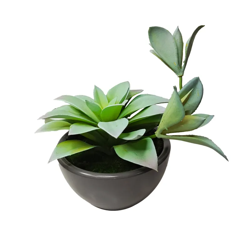 Factory Wholesale fake flowers agave plant artificial succulent for decoration