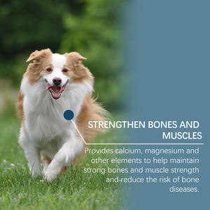 Comprimés à mâcher multivitaminés <span class=keywords><strong>et</strong></span> minéraux pour chiens, calcium, magnésium, oligo-éléments, nutrition - Product Image 2