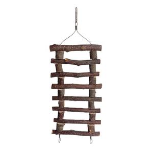 Juguetes interactivos para masticar cuidado <span class=keywords><strong>de</strong></span> los dientes colgantes <span class=keywords><strong>de</strong></span> madera <span class=keywords><strong>de</strong></span> manzana natural al por mayor para animales pequeños cobayas chinchillas jerbos <span class=keywords><strong>ratones</strong></span> - Product Image 3