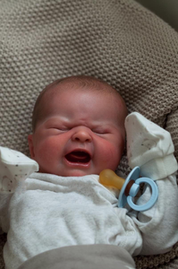 Barato realista negro ganchillo personalizado felpa Blythe cuerpo completo <span class=keywords><strong>Chucky</strong></span> realista silicona Boneca Reborn bebé muñecas para niña - Product Image 5