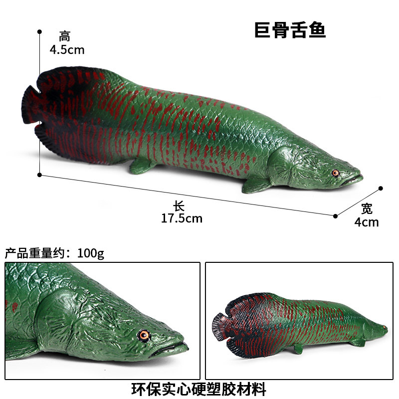M-1037 Arapaima (sans socle)