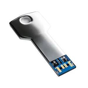Key Shape USB Flash Drive 2.0 3.0 High Speed Custom Logo 8GB 16GB 32GB 64GB 128GB Black Silk Golden Metal USB Key Flash Drive