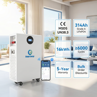 Sistema de Almacenamiento de Energía Doméstico LiFePO4 51.2V 314AH 16KWH BMS CAN, Sistema de Energía Solar ESS, Montaje en Suelo/Pared 51.2V 100AH 200AH
