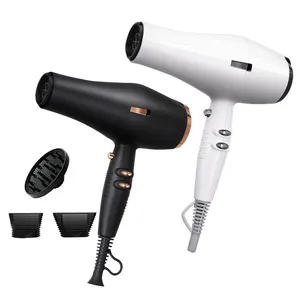 Manufacturers Supply Professional Strong Wind Quick Drying 2400W AC Motor Blow Dryer Portable Electric Hair Dryer Salon Use