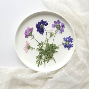 Sud-américain Fausse <span class=keywords><strong>Verveine</strong></span> Petite <span class=keywords><strong>Verveine</strong></span> Avec Branche Fleurs Pressées Résine Oeuvre Cadre DIY Artisanat Bougie Epoxy - Product Image 1