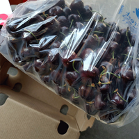 Nouvelle technologie sac de conservation des aliments frais sac de conservation des fruits et légumes Nano