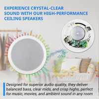 Haut-parleur de plafond BT avec couvercle arrière pour système de sonorisation de cinéma maison, musique d'ambiance pour téléphone portable - 2.0 canaux 5-10W, compatible APP, quatre voies