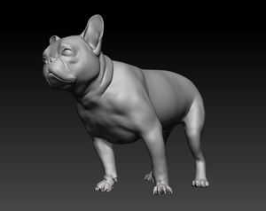 Servicio de Impresión 3D Personalizado para Piezas Metálicas para Perros - Tecnología SLM, Acero Inoxidable 316L, Aluminio, Titanio |   Prototipado Rápido - Product Image 6