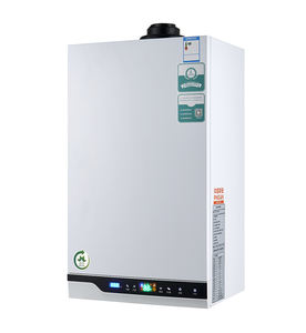 Chauffe-<span class=keywords><strong>eau</strong></span> à gaz à bas <span class=keywords><strong>prix</strong></span> Offre Spéciale chaudière combinée à gaz sans réservoir Double allumeur 16 litres 32KW 20 Lite 40KW chaudière à gaz murale - Product Image 1