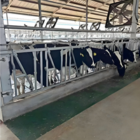 Estribo de sujeción para vacas de tamaño pequeño, para terneras jóvenes y ganado lechero, equipo de sujeción para la alimentación